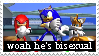 Woah, he's bisexual! Sonic heroes stamp.
