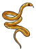 Corn-Snake-Right.png