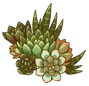 Verdant-Cluster-Right.png
