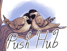Push Hub