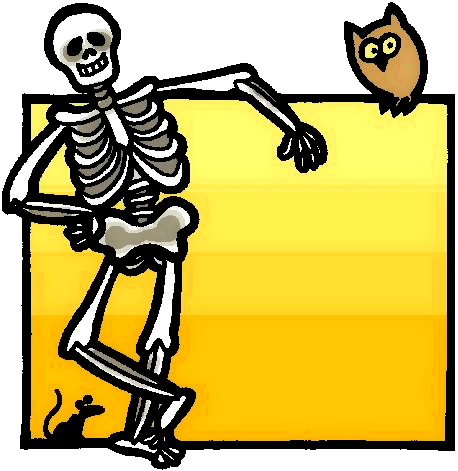 skeleton frame