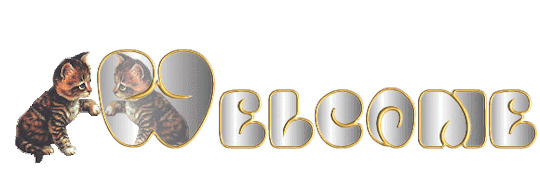 kitties welcome banner