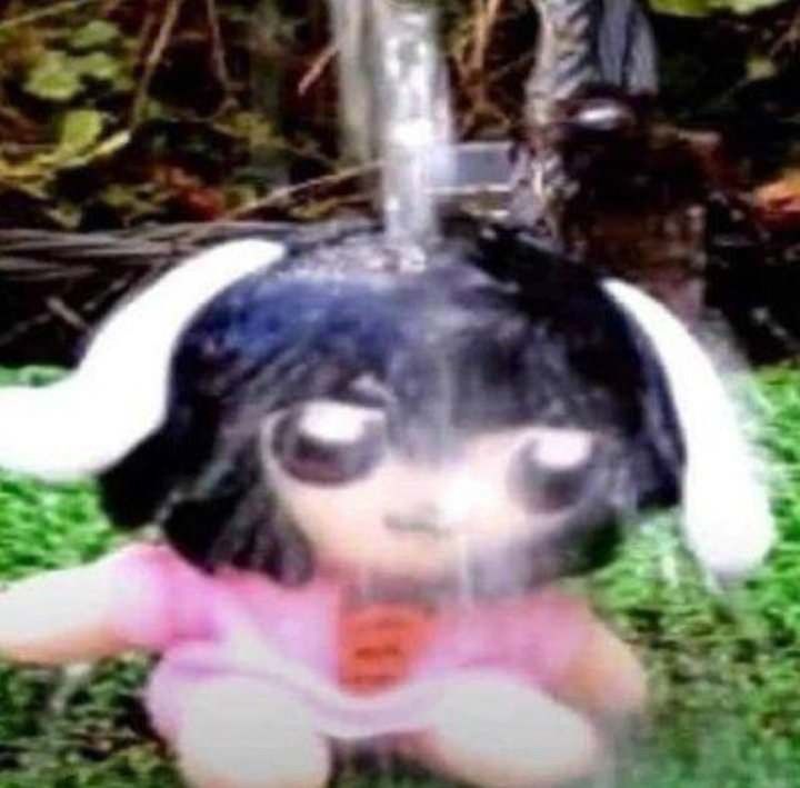 yyay
