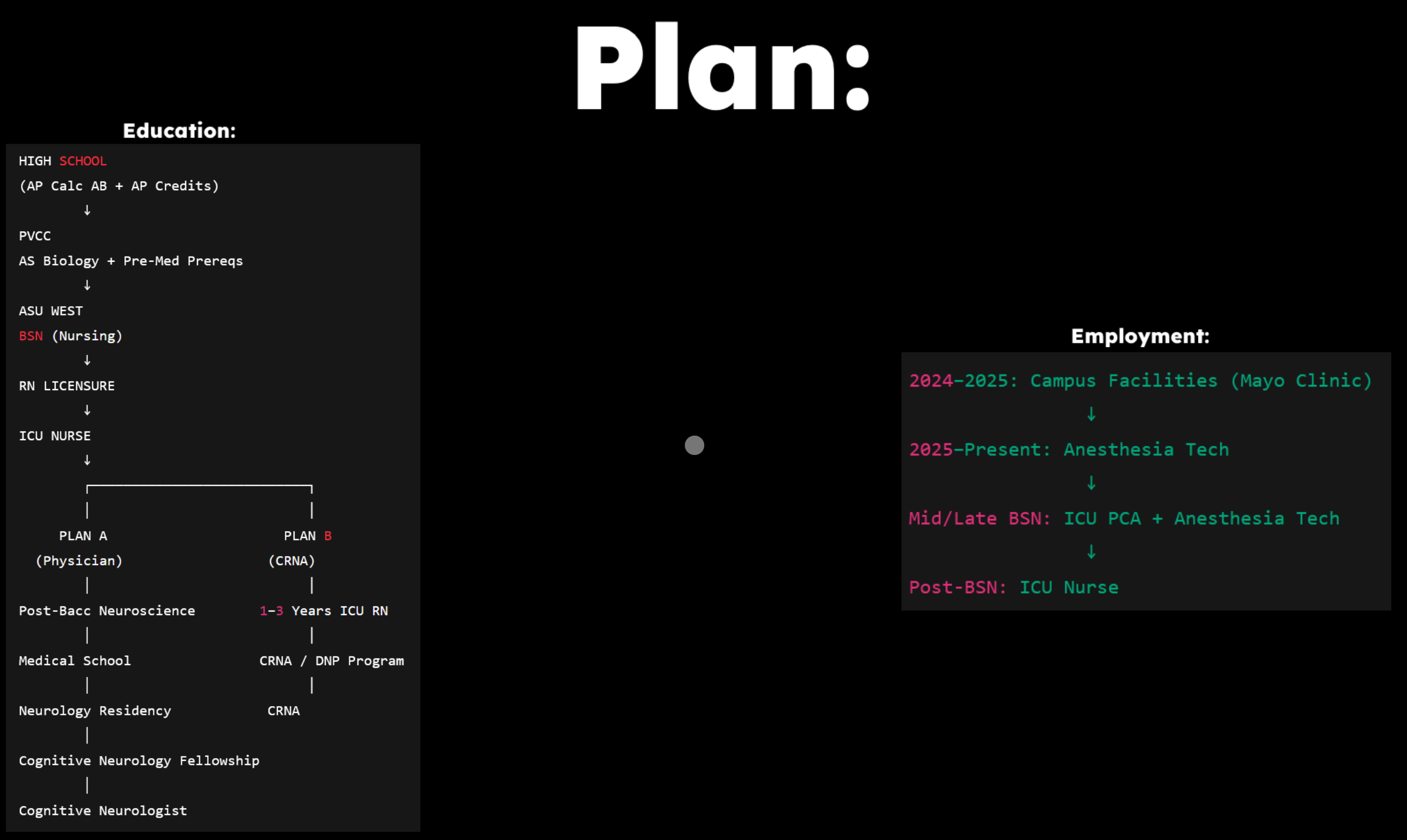 Neo decade plan diagram