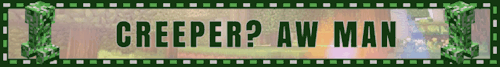 Minecraft creeper? aw man blinkie