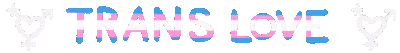 Trans love blinkie