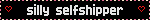 Silly selfshipper