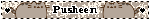 Pusheen