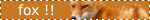 Fox!!