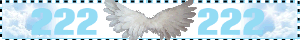 222 angel number