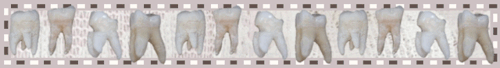 Row of teeth