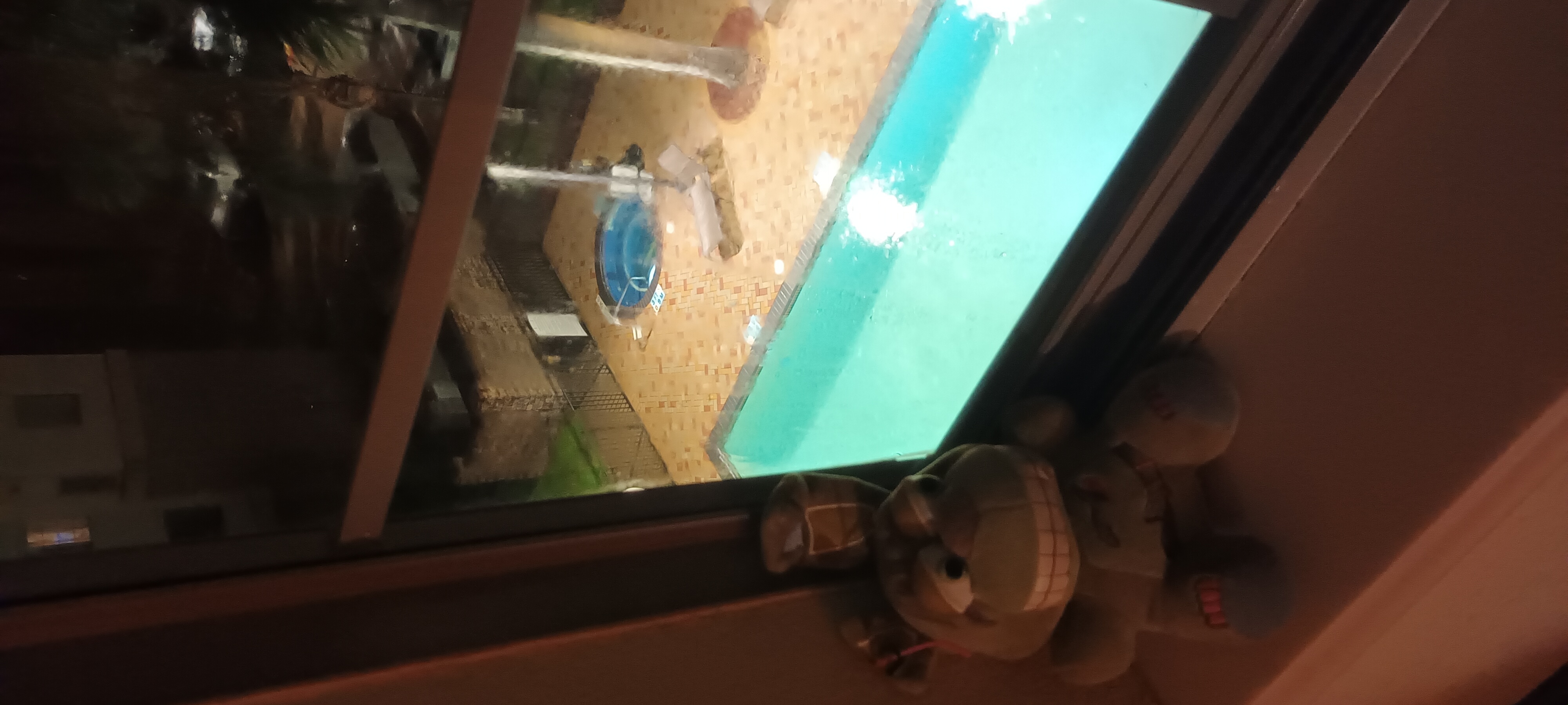 Springtrap looking out the window showing a pool and a small jacuzzi