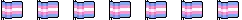 Trans flags divider