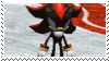 Shadow the hedgehog combing his spikes