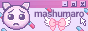 website button linking to mashumaro
