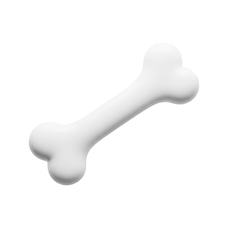 bone