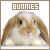 bunnies