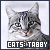 tabby