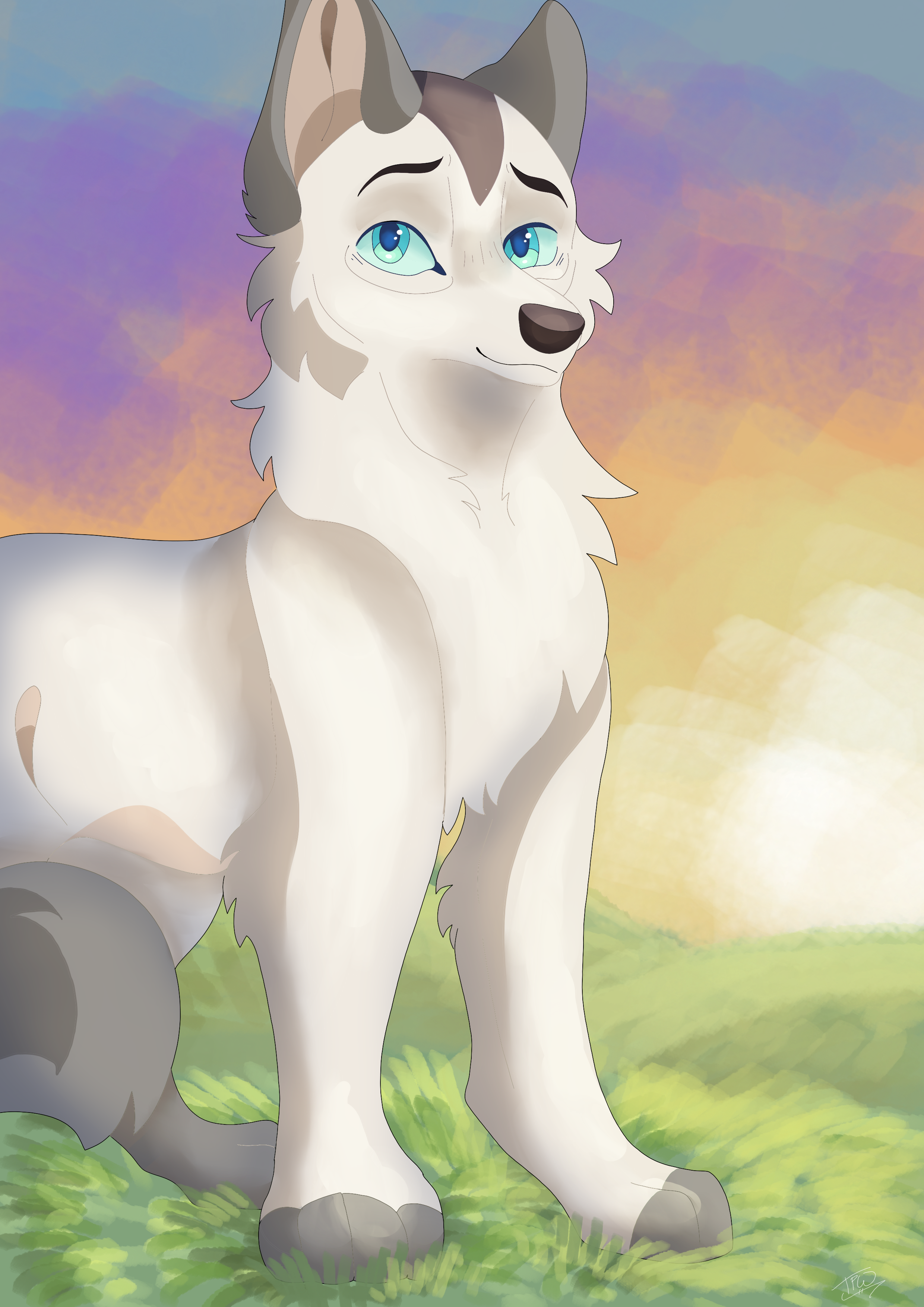 sketch1775199364009.png