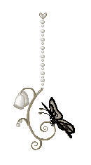 charm