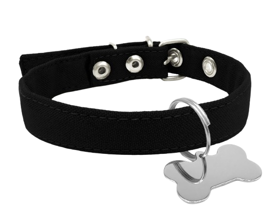 ❛　　　　⊹　　k9     cadavers's avatar