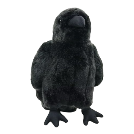 crow