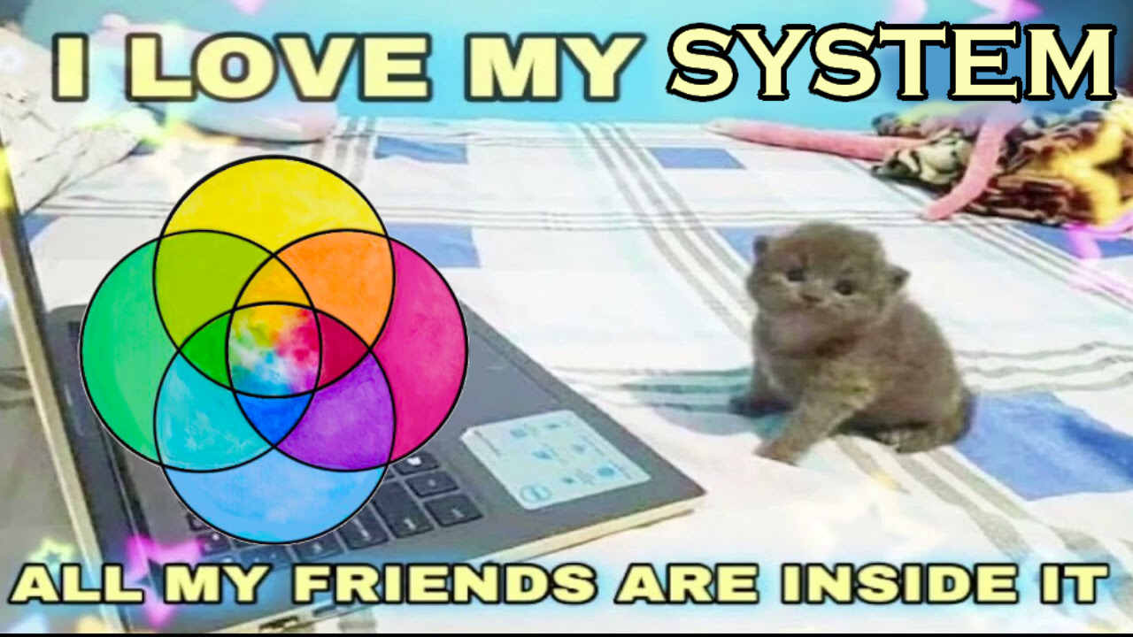 kitten at computer meme with the words 'I love my system, all my friends are in it'