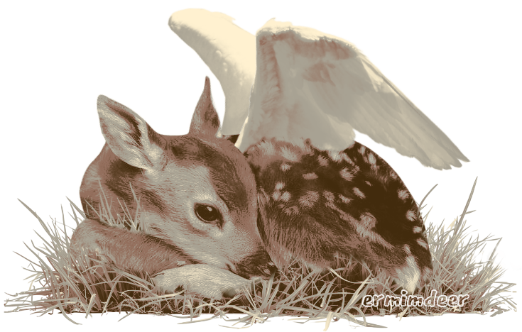 a fawn lying in grass with wings on its back that's brown and tan