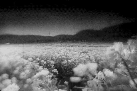7B7F01E3-2CB0-4FAA-BE22-4C5BCA4EE2AA.gif