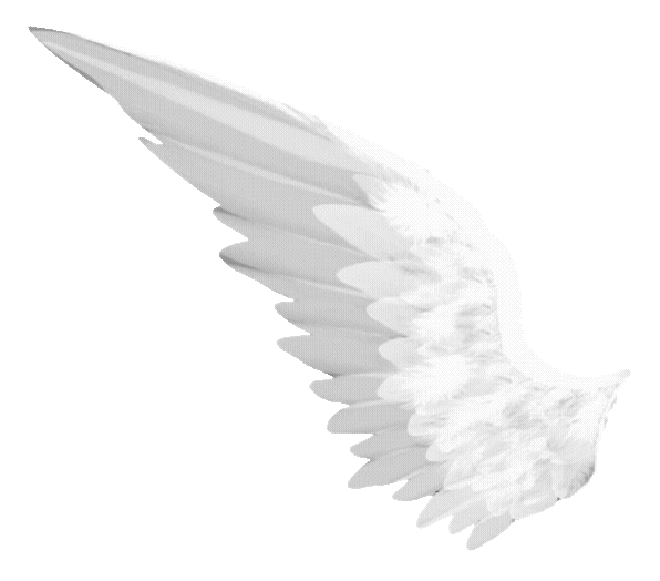 wing1