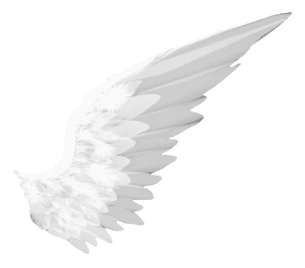wing2