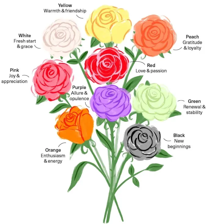 Gabriel has something in common with each rose!