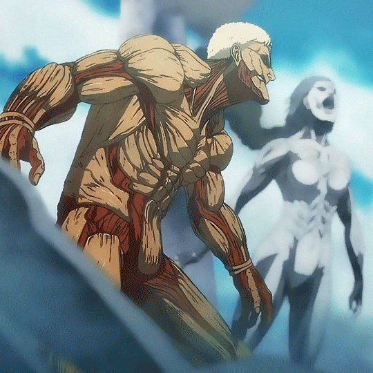 reiner decor
