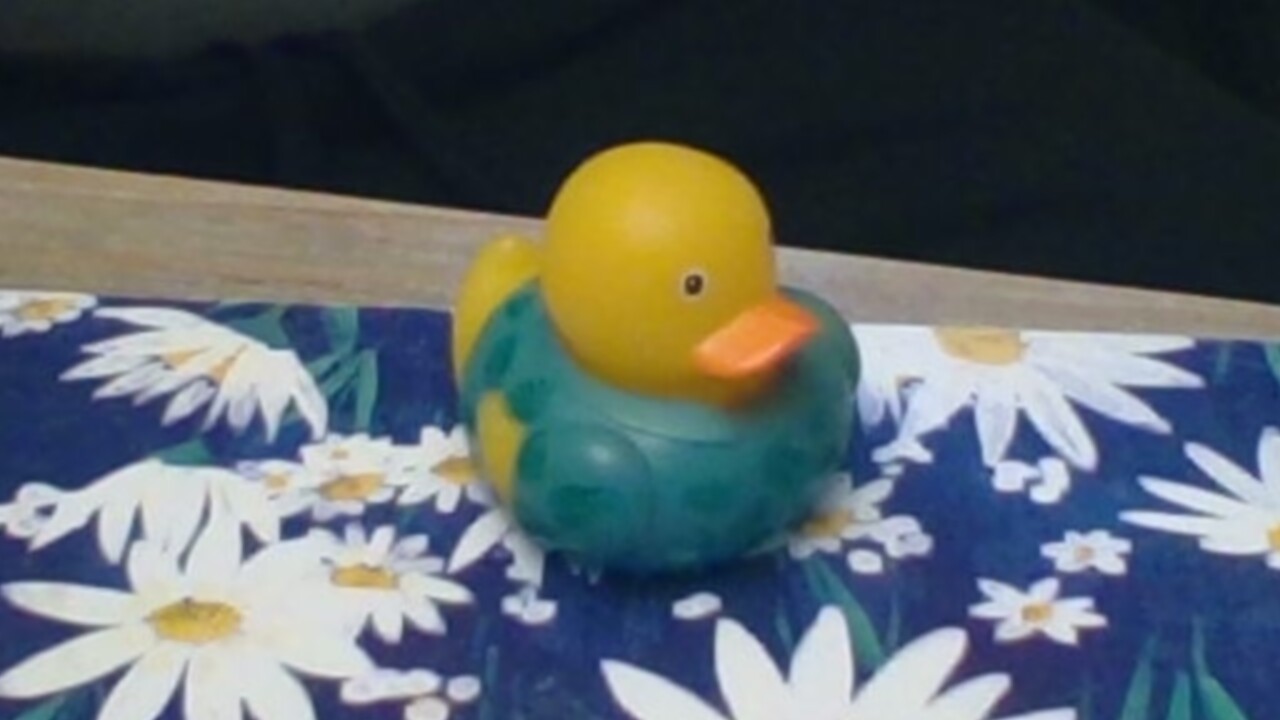 Rubber duck floating