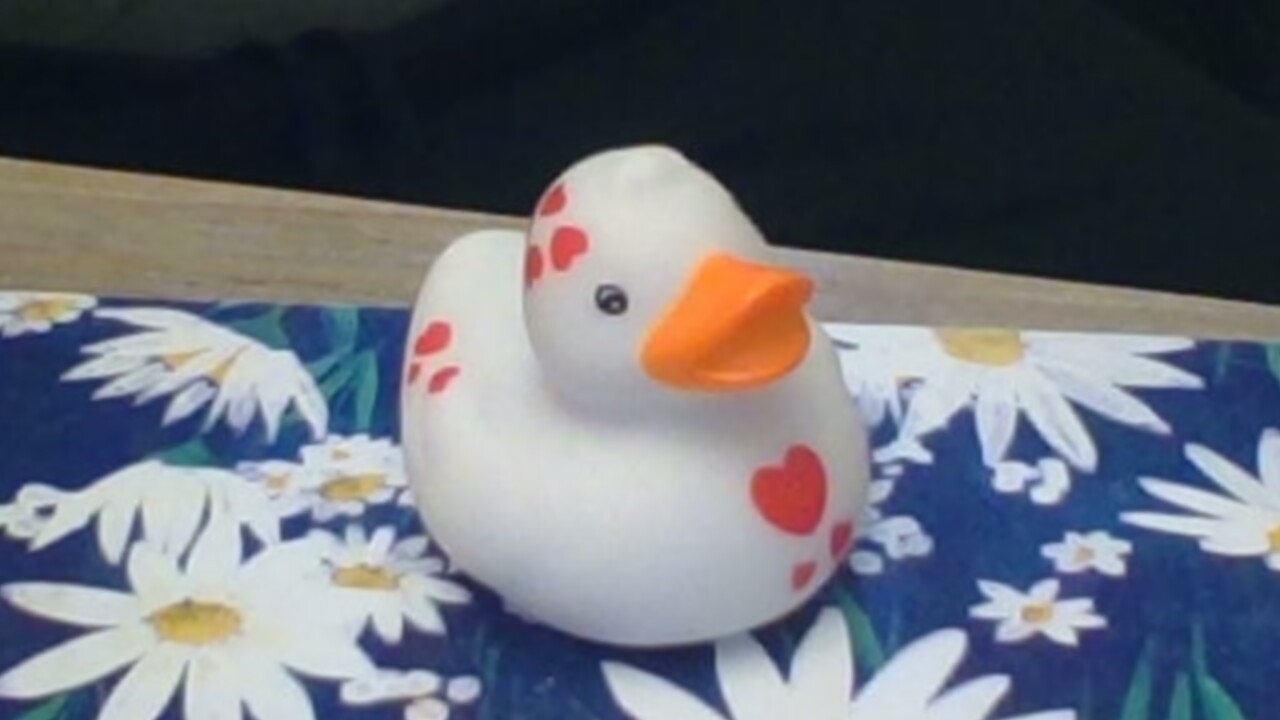 Rubber duck floating