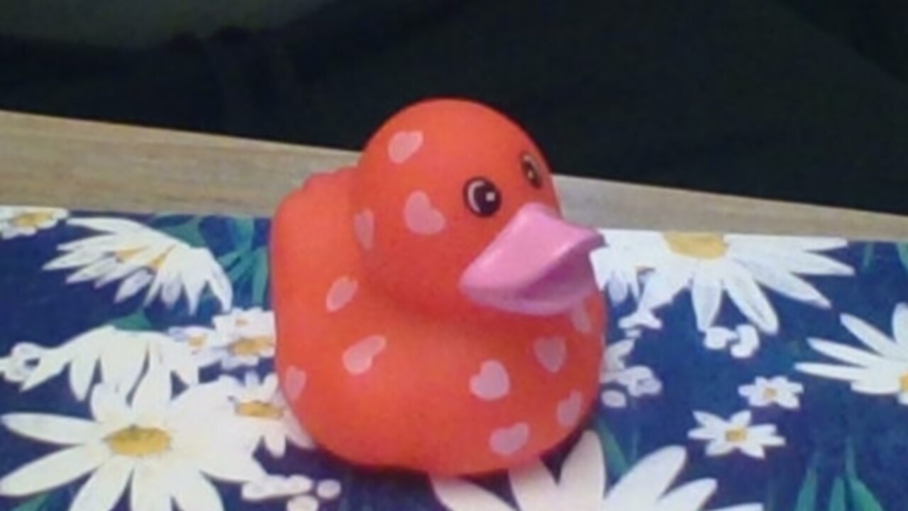Rubber duck floating