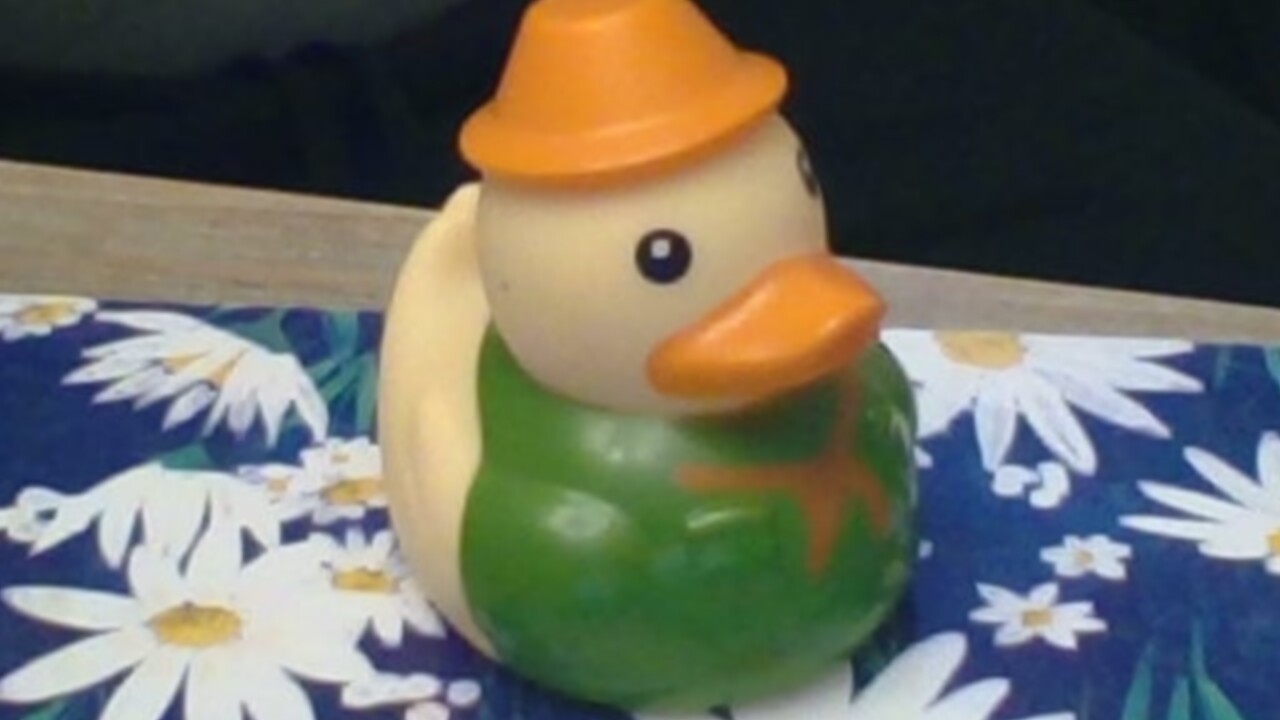 Rubber duck floating