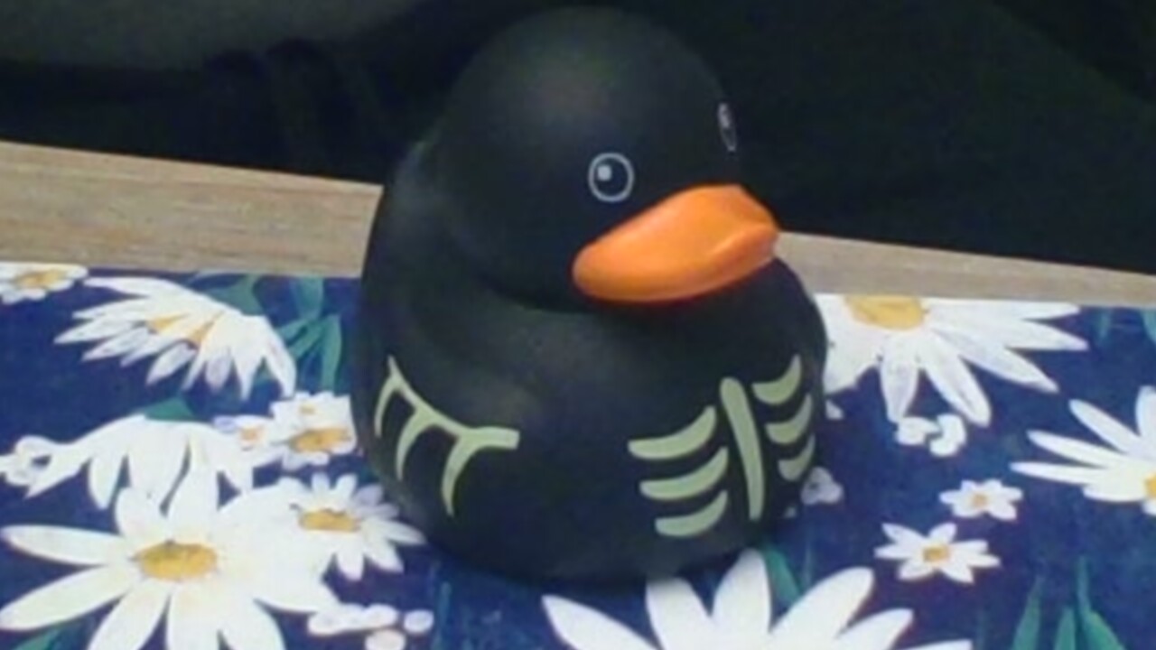 Rubber duck floating