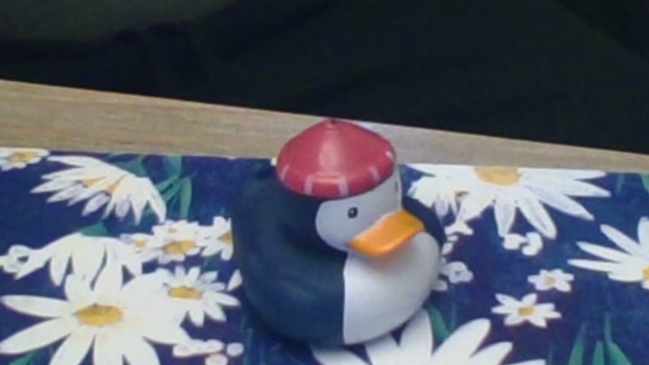 Rubber duck floating