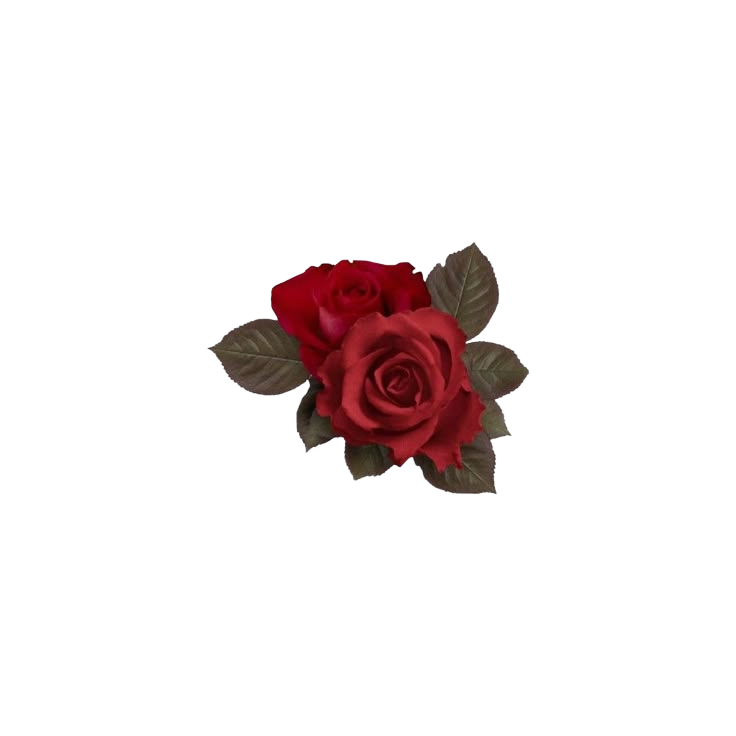 red rose icon