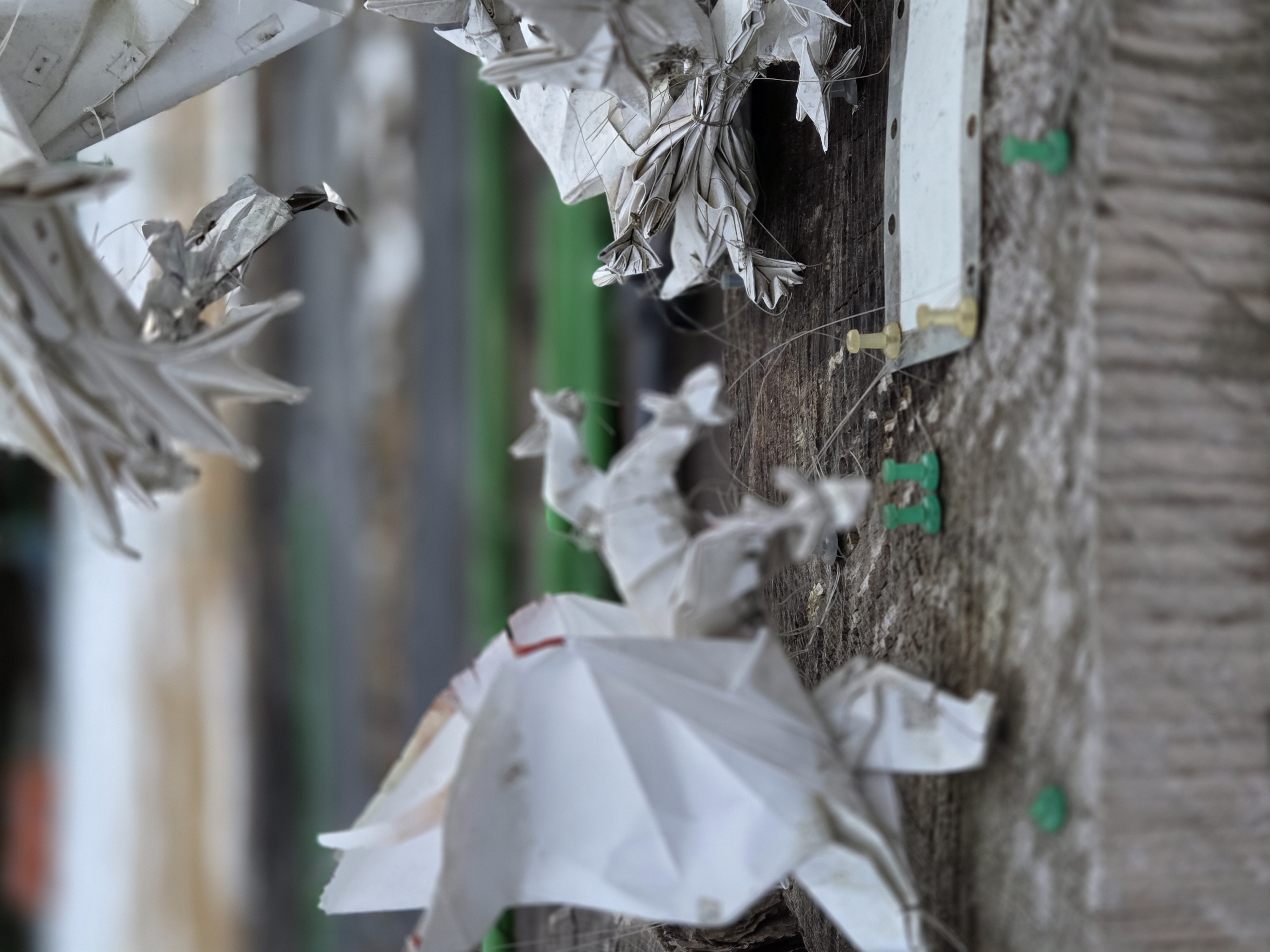 Paper menagerie Origami creatures