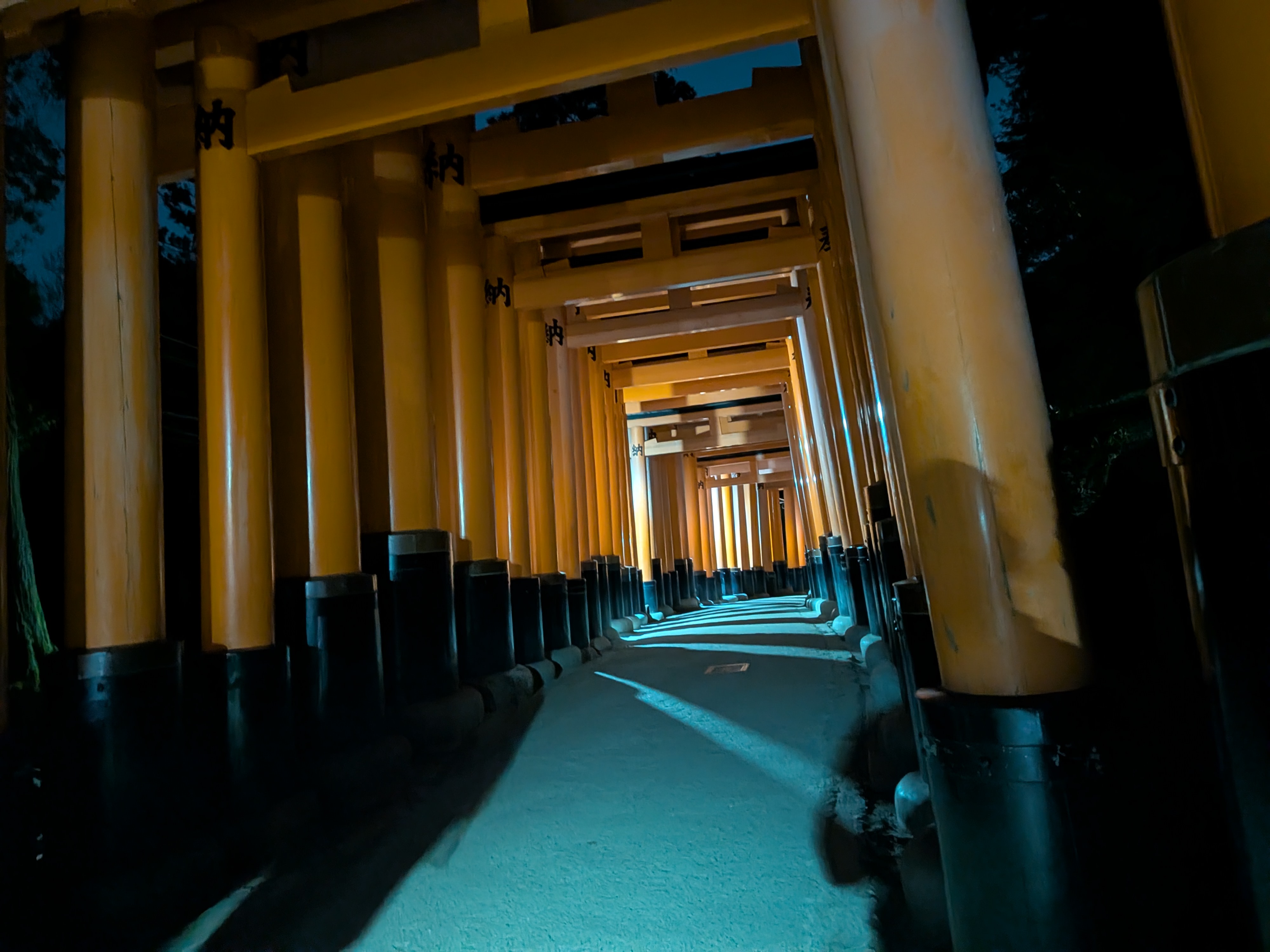 *Spooky sounds* Torii gates at night
