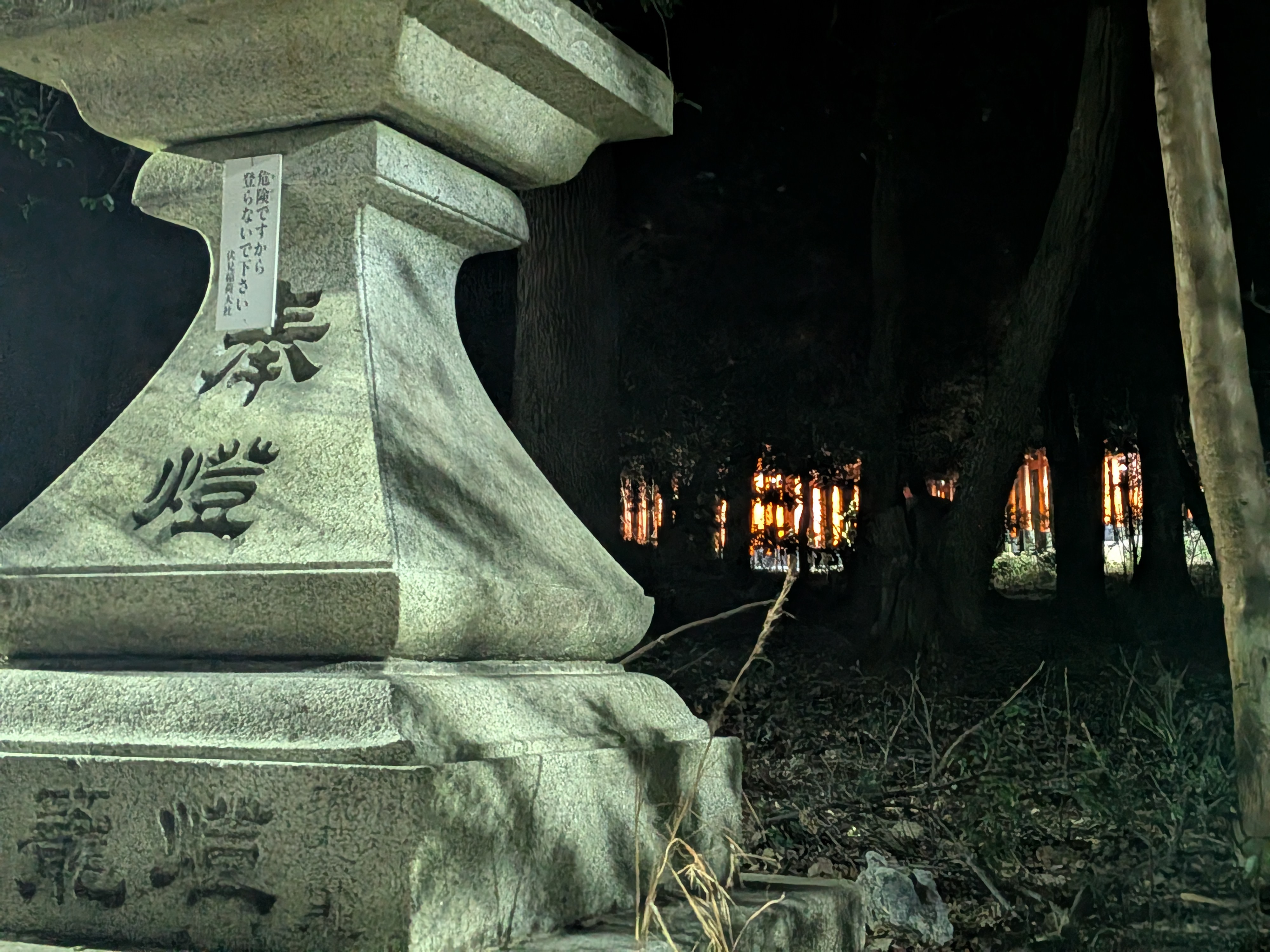 Totally not haunted. Picture of Torii gates in distance at night