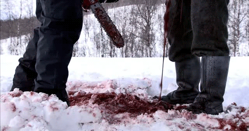 blood