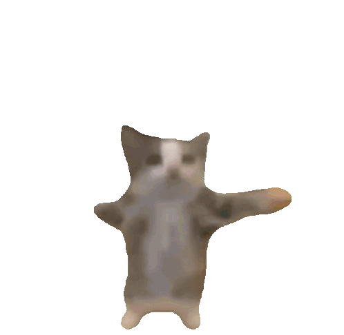 cat dancing gif