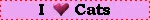 I♥Cats