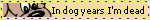 InDogYearsI'mDead