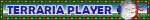 TerrariaPlayer