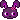 PurpleBunny