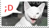 ;DCat